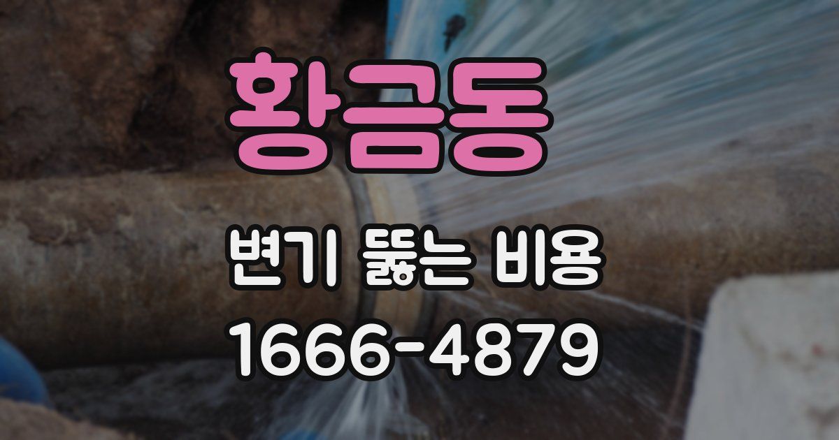황금동 변기 뚫는 비용