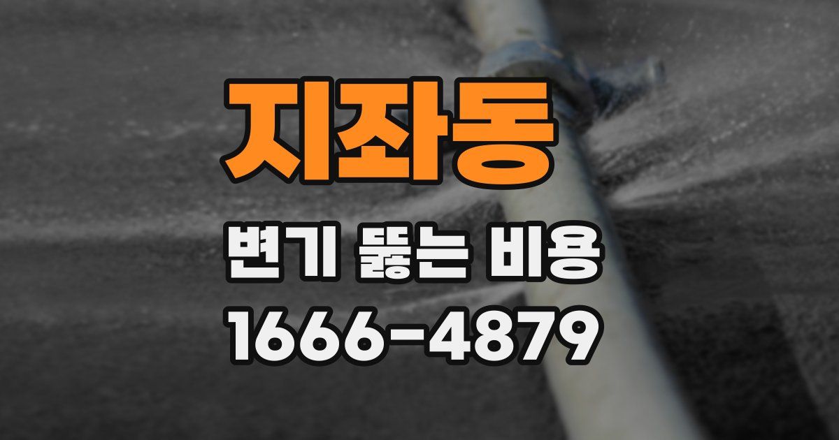 지좌동 변기 뚫는 비용