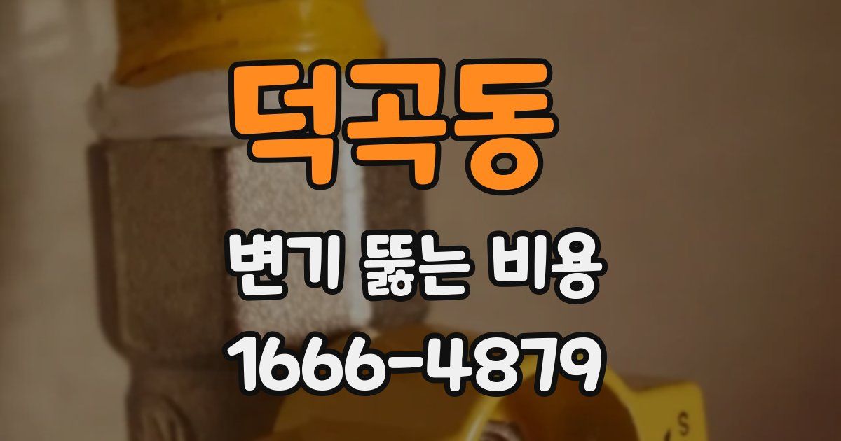 덕곡동 변기 뚫는 비용