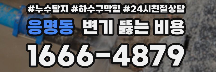 응명동 변기 뚫는 비용