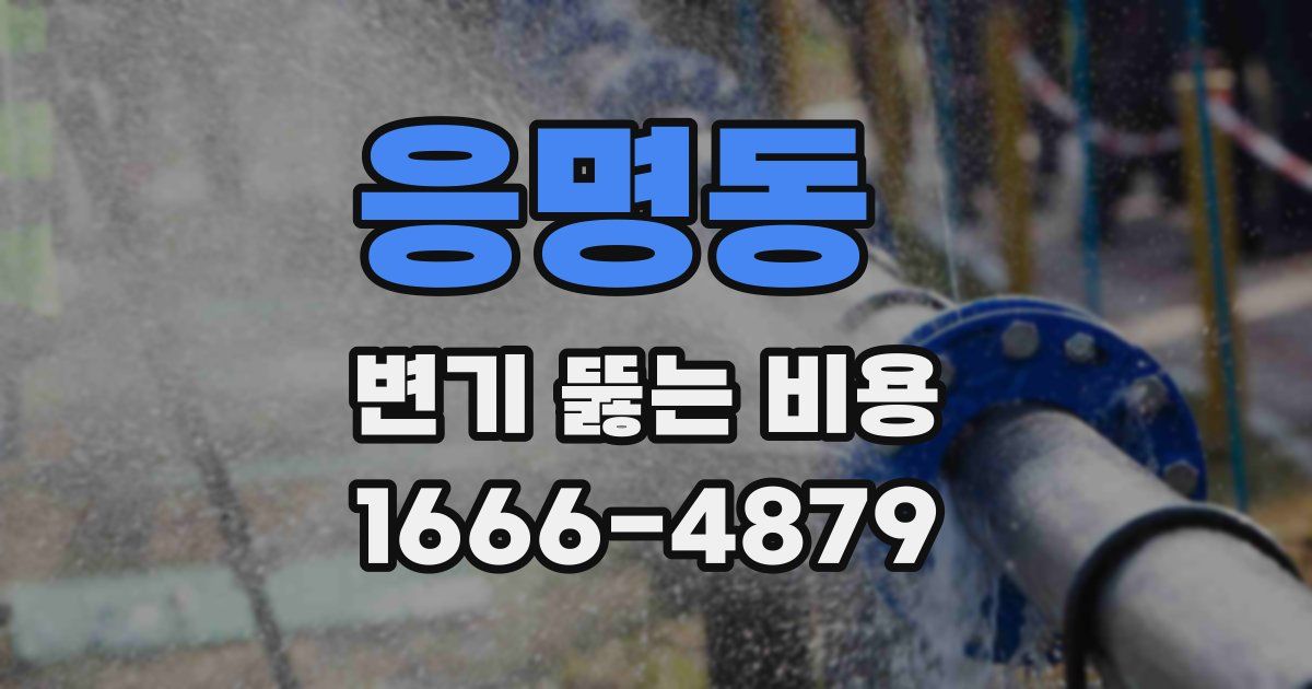 응명동 변기 뚫는 비용