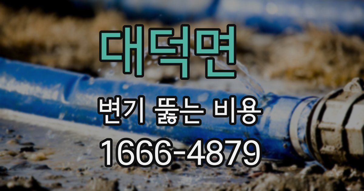 대덕면 변기 뚫는 비용