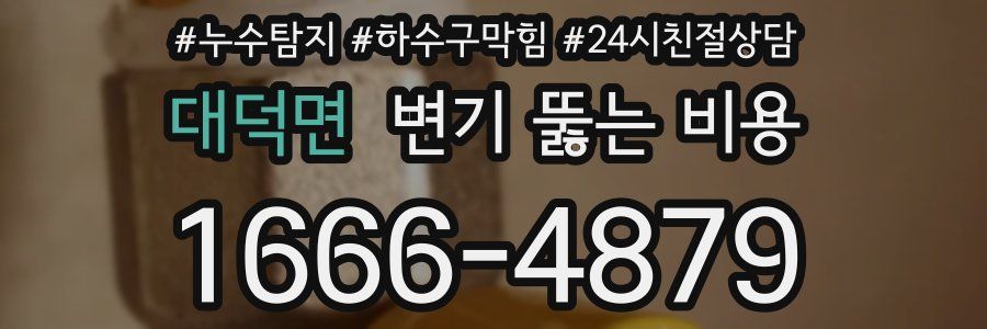 대덕면 변기 뚫는 비용