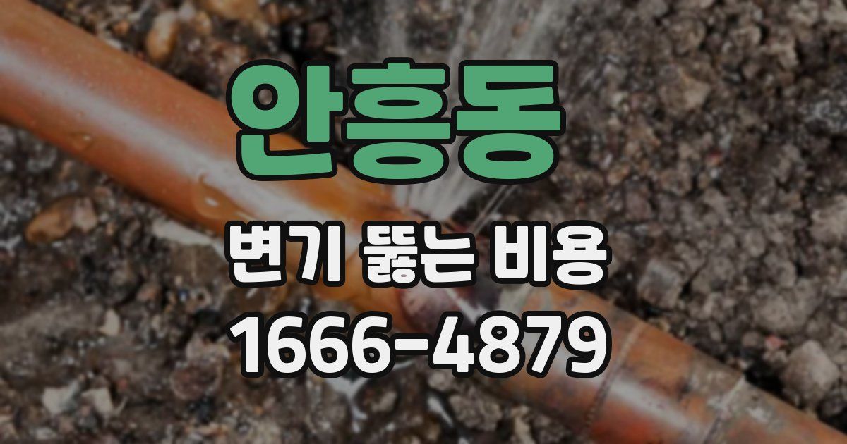 안흥동 변기 뚫는 비용