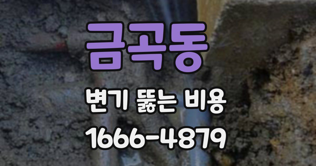 금곡동 변기 뚫는 비용