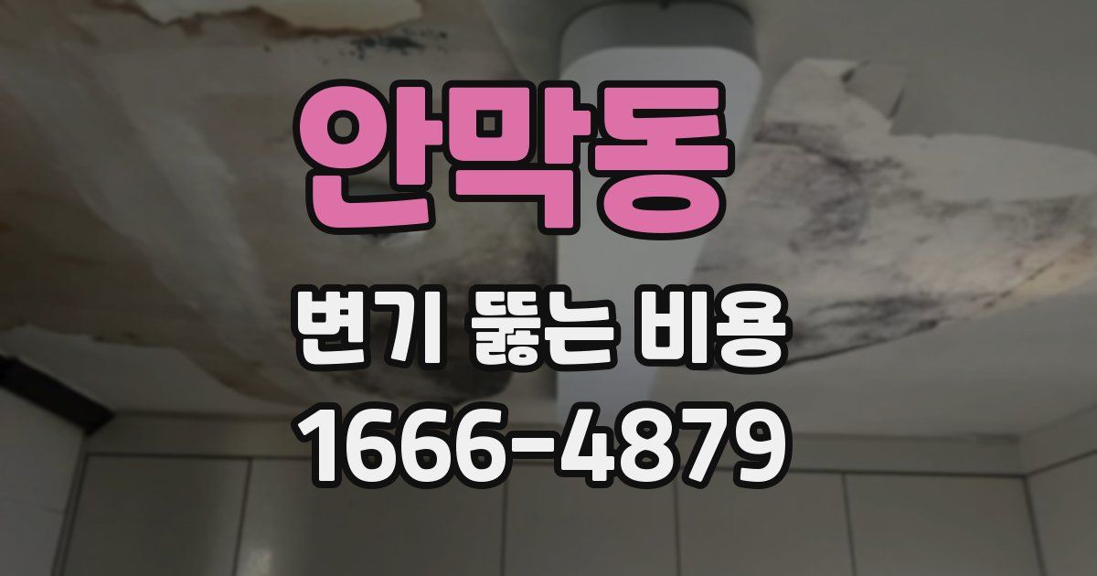 안막동 변기 뚫는 비용