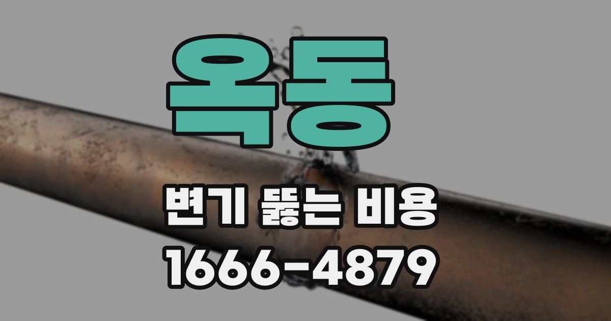 옥동 변기 뚫는 비용