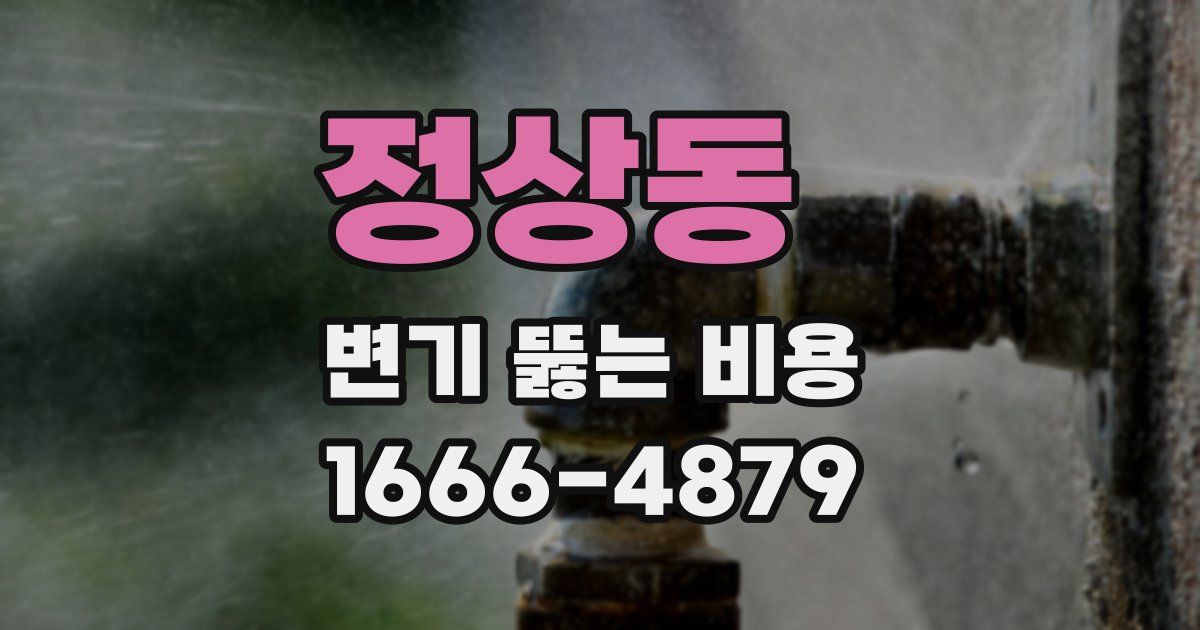 정상동 변기 뚫는 비용