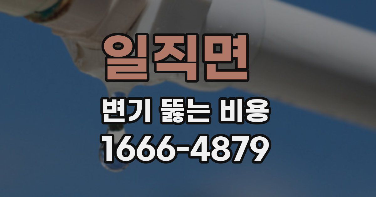 일직면 변기 뚫는 비용