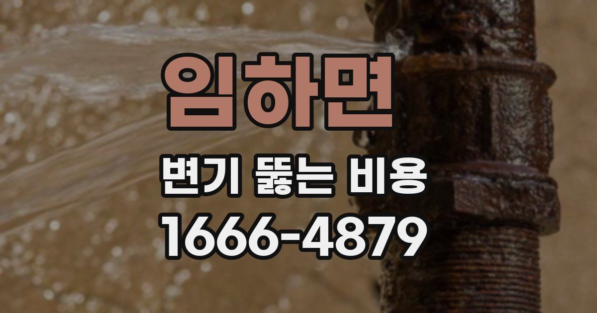 임하면 변기 뚫는 비용