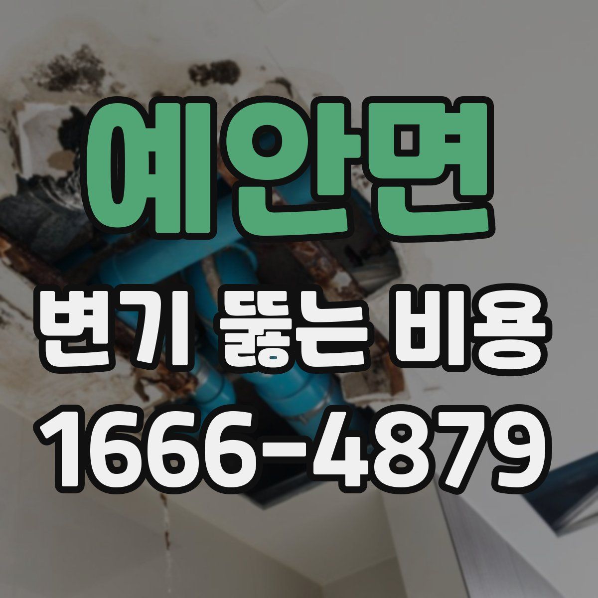 예안면 변기 뚫는 비용
