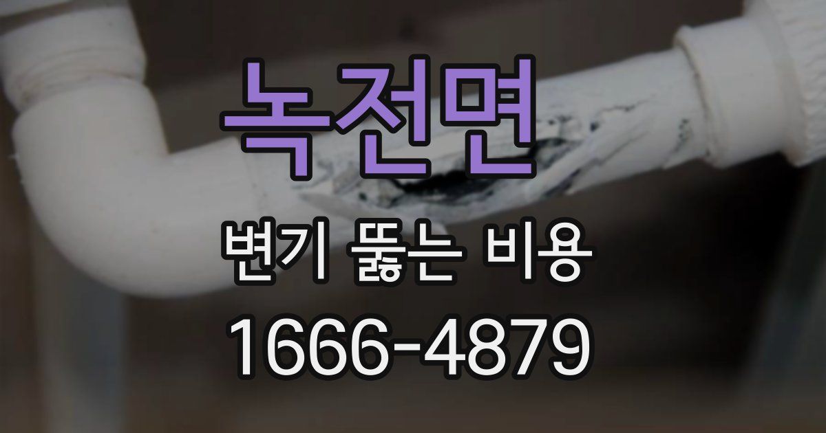 녹전면 변기 뚫는 비용