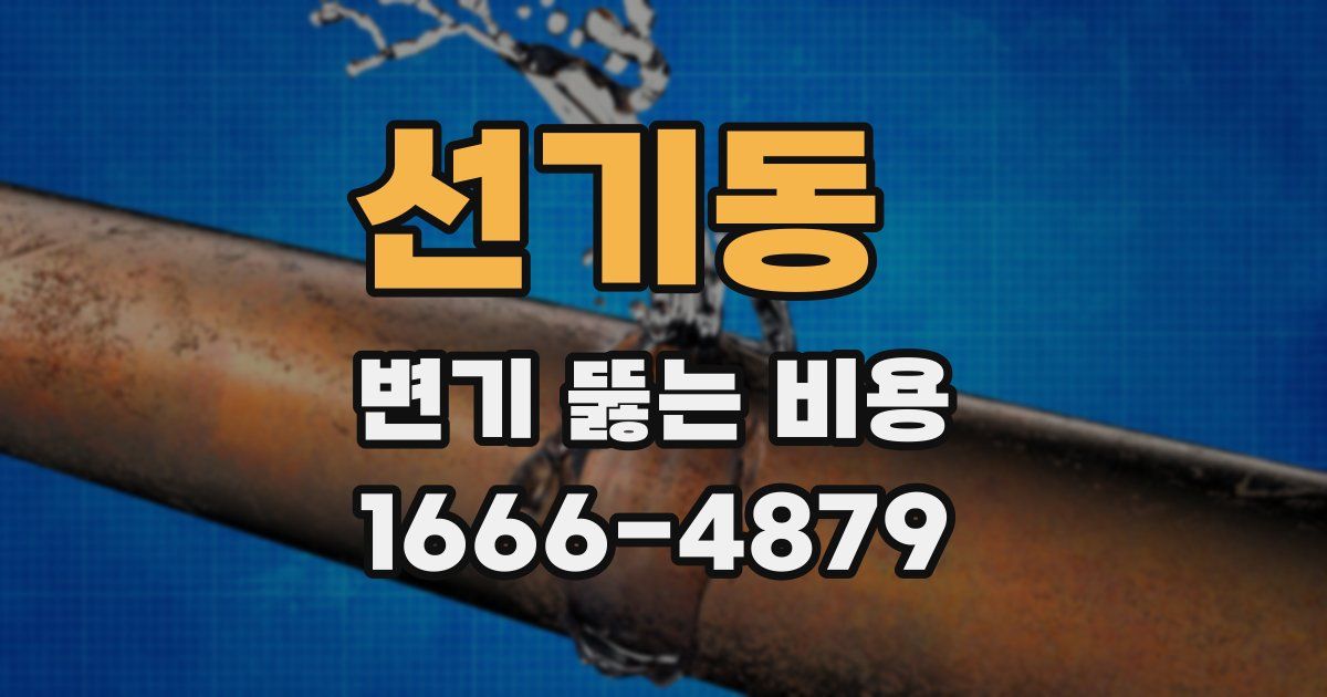 선기동 변기 뚫는 비용