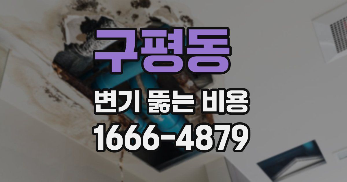 구평동 변기 뚫는 비용