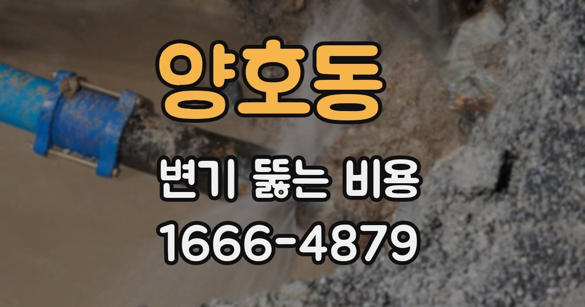 양호동 변기 뚫는 비용