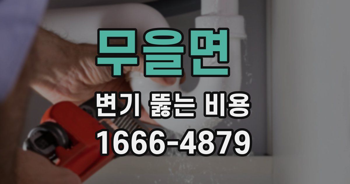 무을면 변기 뚫는 비용
