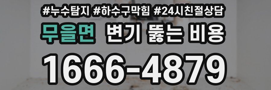 무을면 변기 뚫는 비용