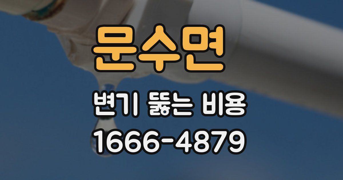 문수면 변기 뚫는 비용
