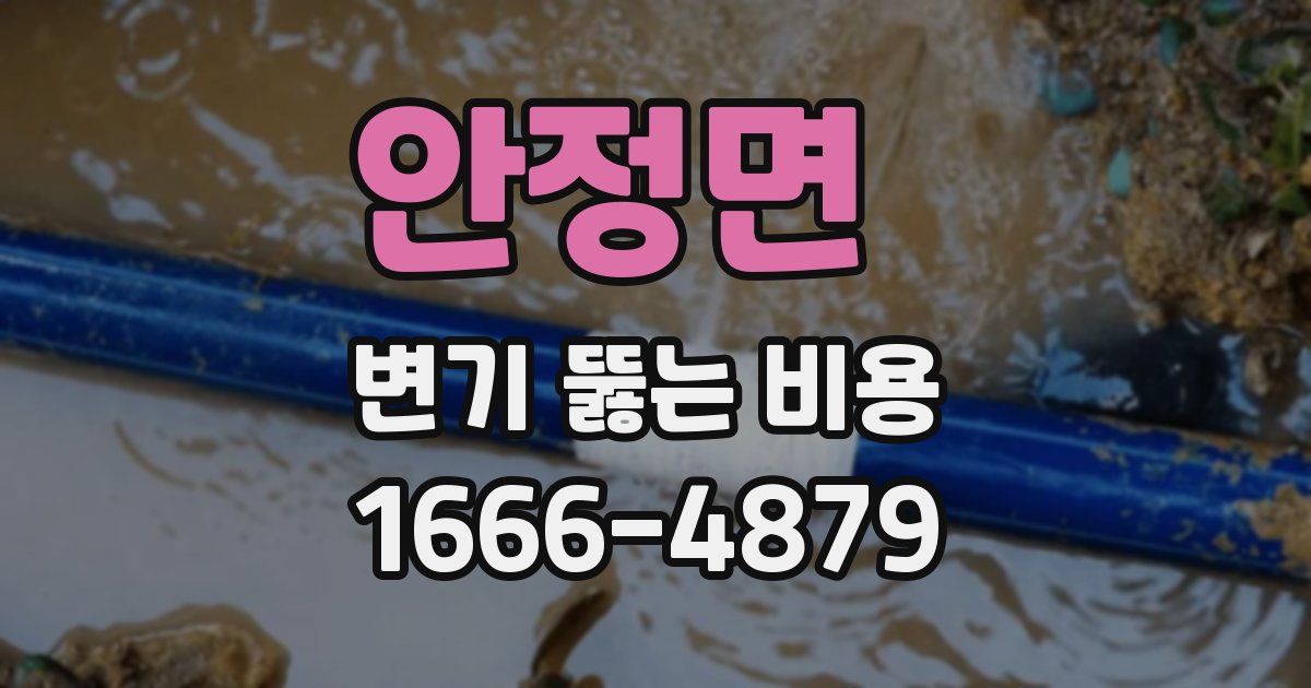 안정면 변기 뚫는 비용