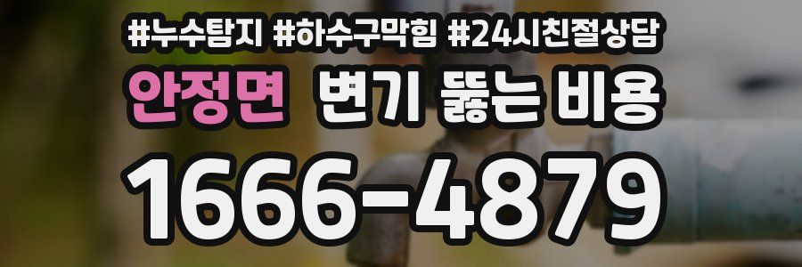 안정면 변기 뚫는 비용