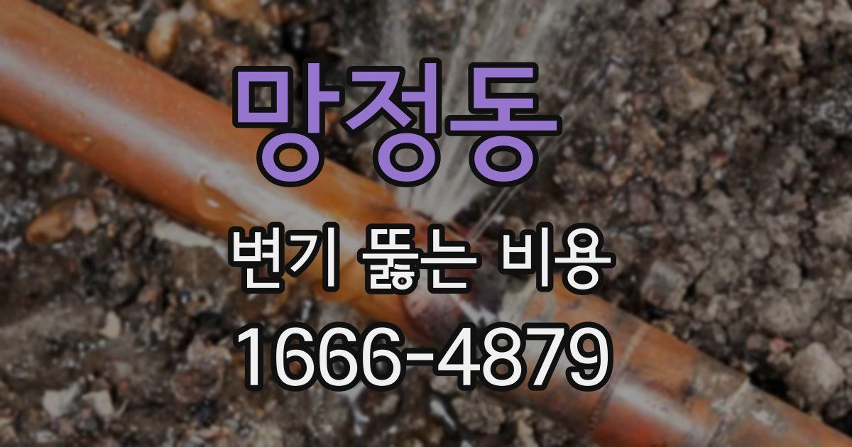 망정동 변기 뚫는 비용
