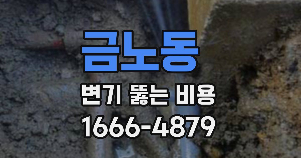 금노동 변기 뚫는 비용