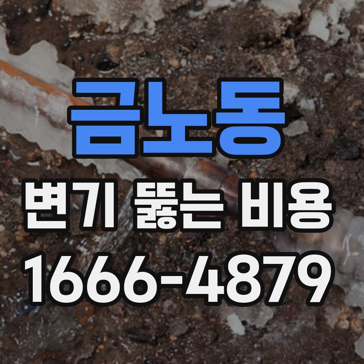 금노동 변기 뚫는 비용
