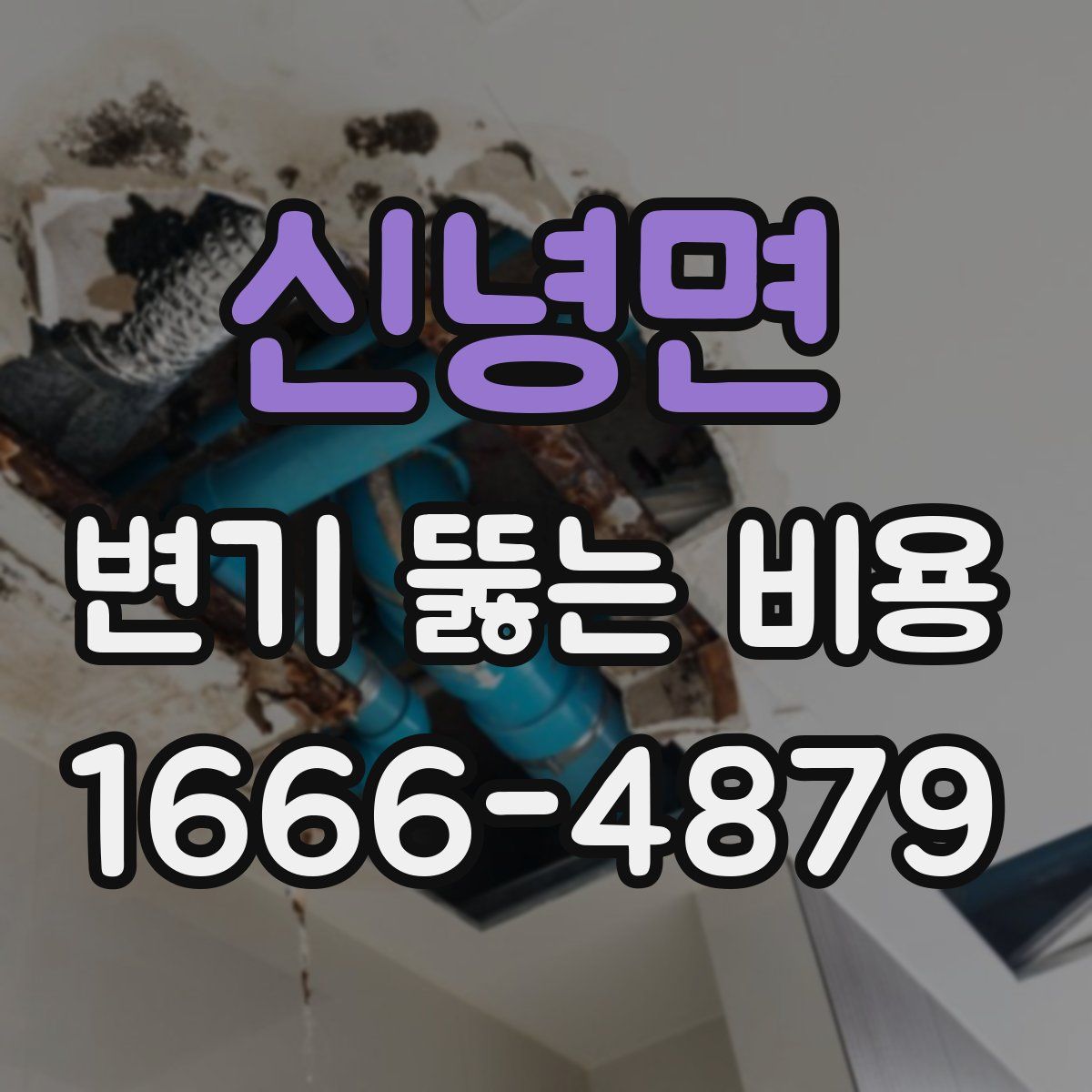 신녕면 변기 뚫는 비용