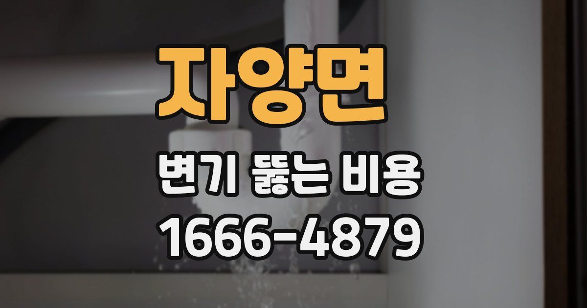 자양면 변기 뚫는 비용