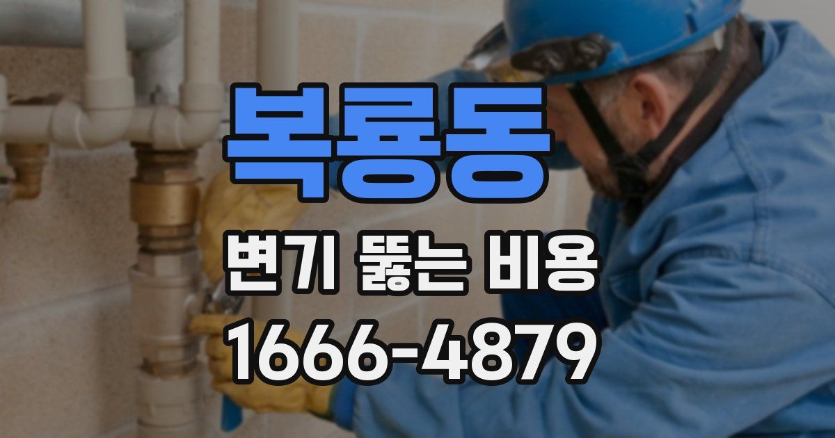 복룡동 변기 뚫는 비용
