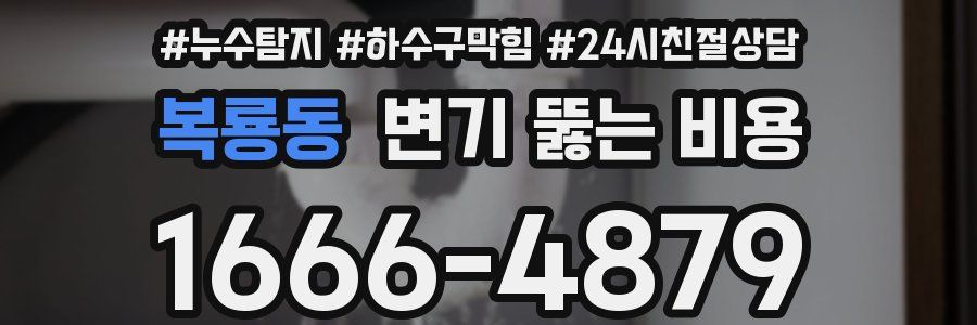 복룡동 변기 뚫는 비용