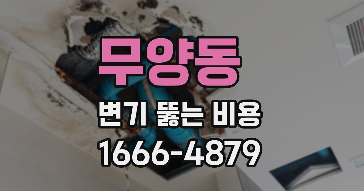 무양동 변기 뚫는 비용