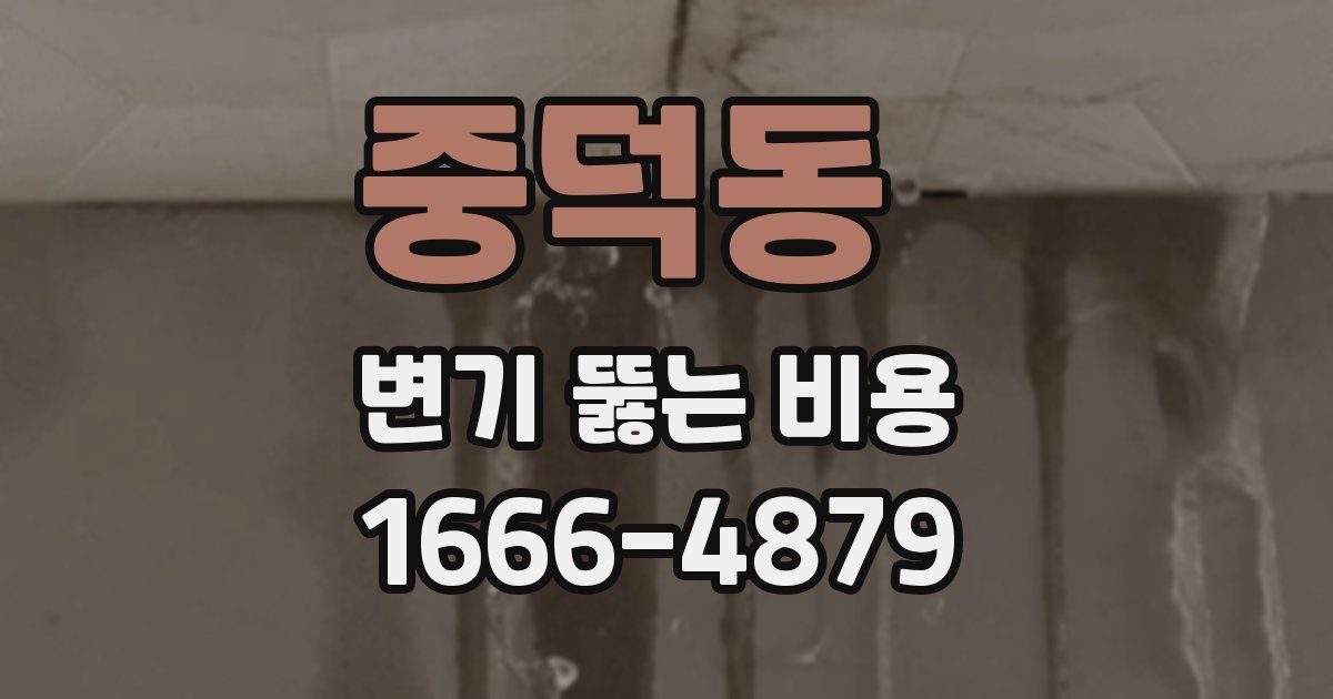 중덕동 변기 뚫는 비용