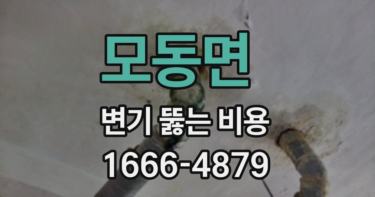 모동면 변기 뚫는 비용