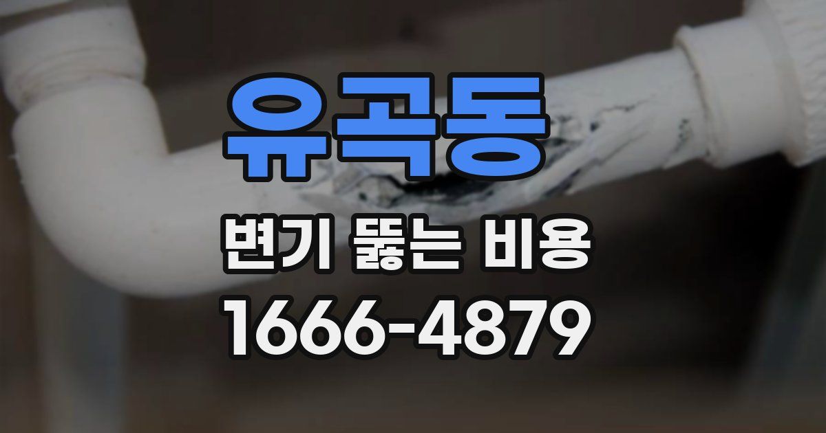 유곡동 변기 뚫는 비용