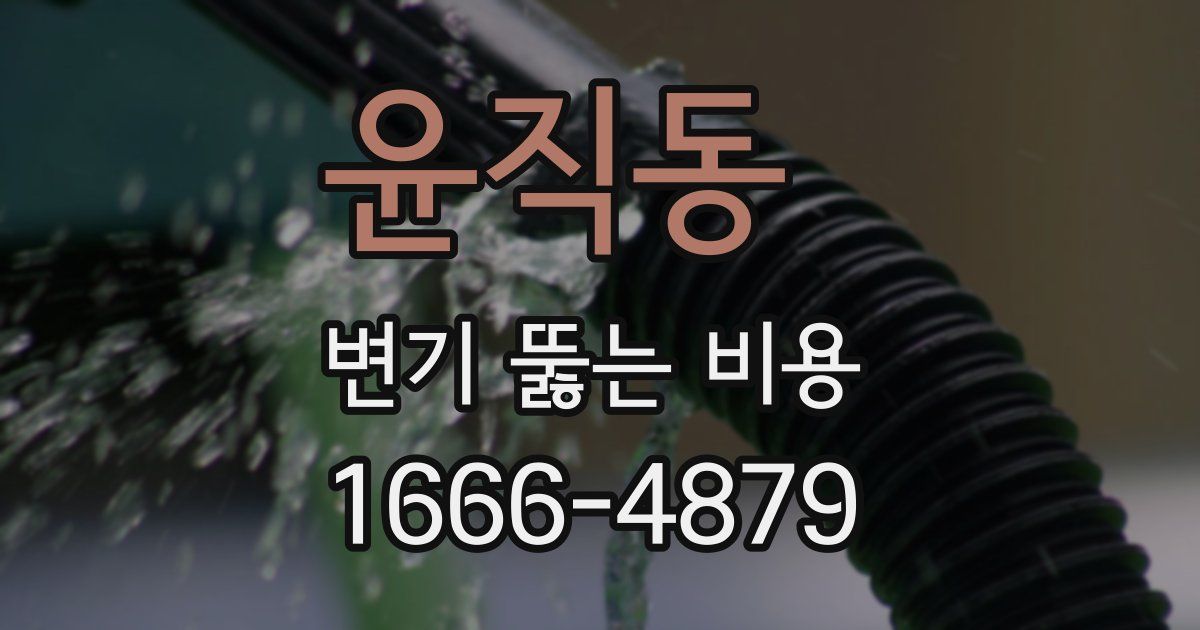 윤직동 변기 뚫는 비용
