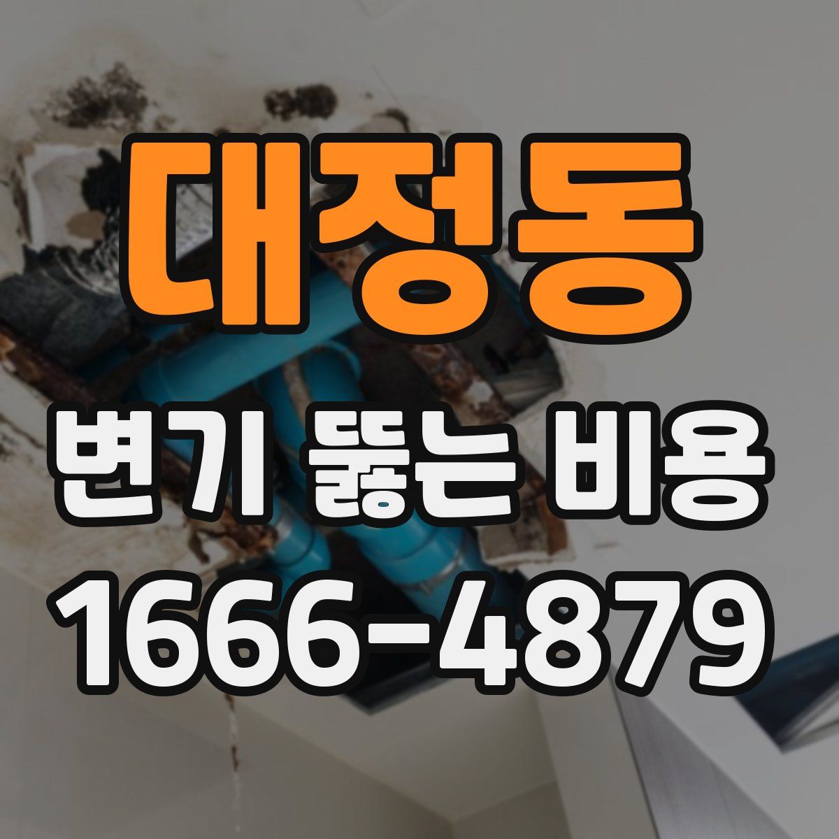 대정동 변기 뚫는 비용