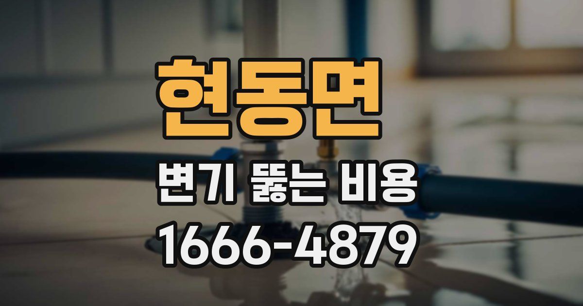 현동면 변기 뚫는 비용
