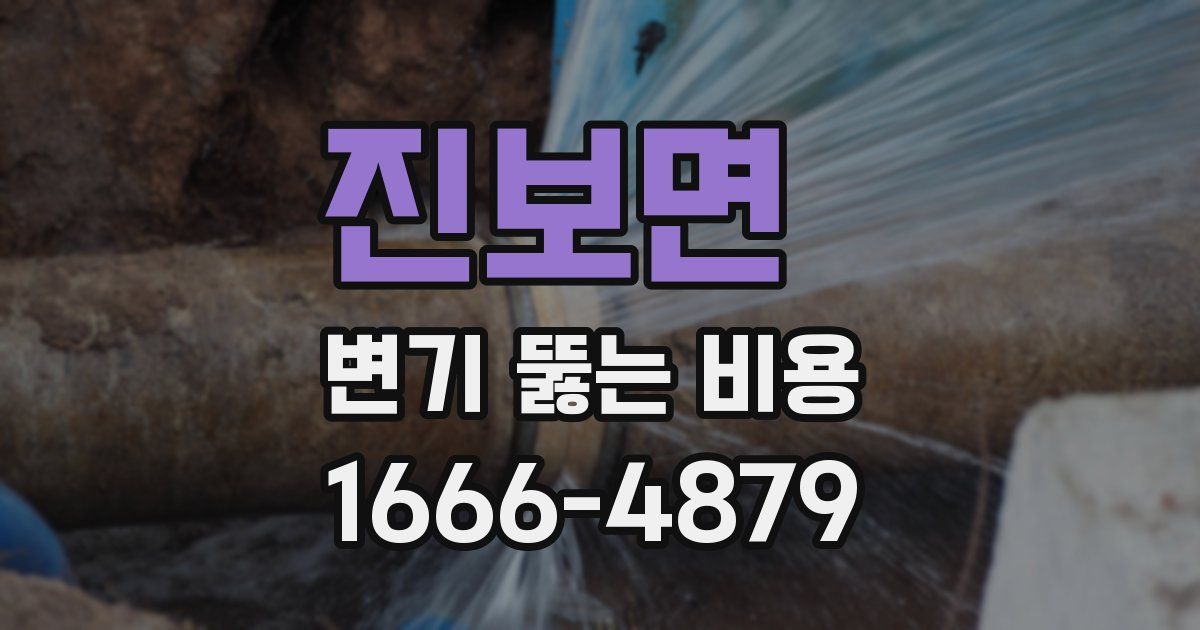 진보면 변기 뚫는 비용