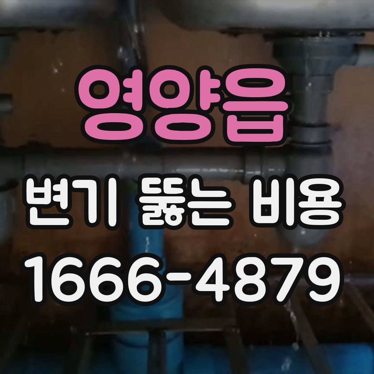 영양읍 변기 뚫는 비용