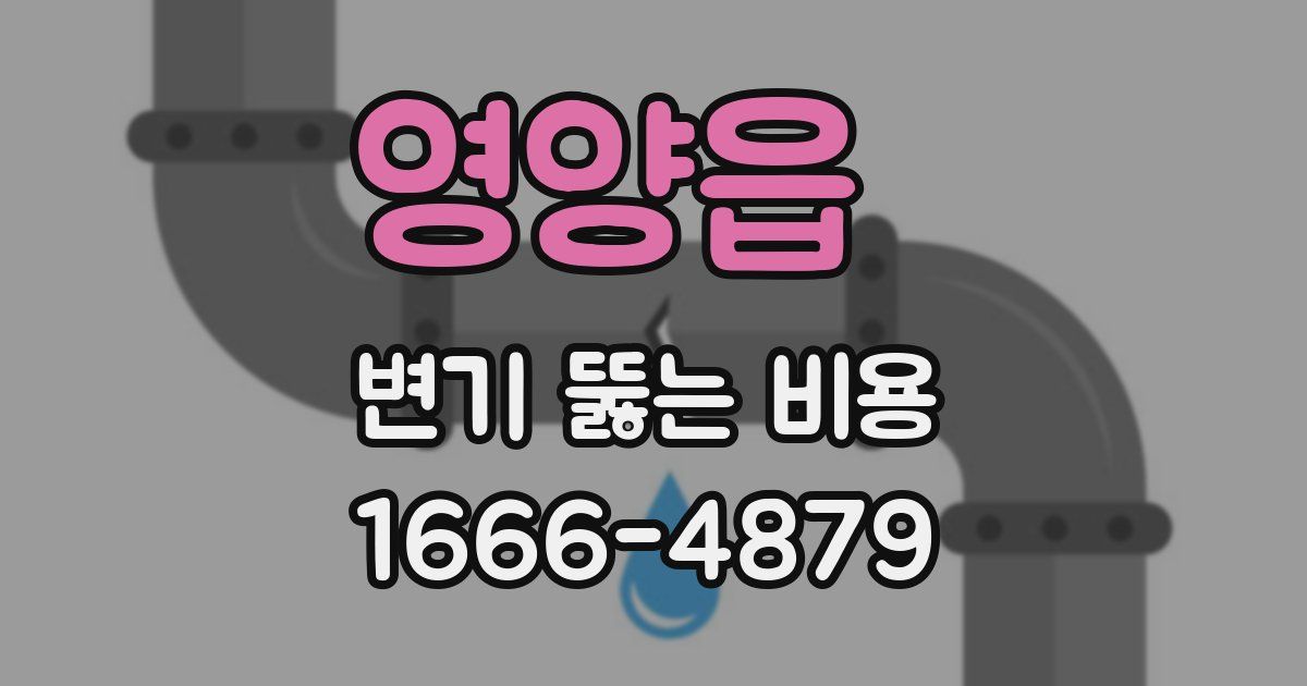 영양읍 변기 뚫는 비용