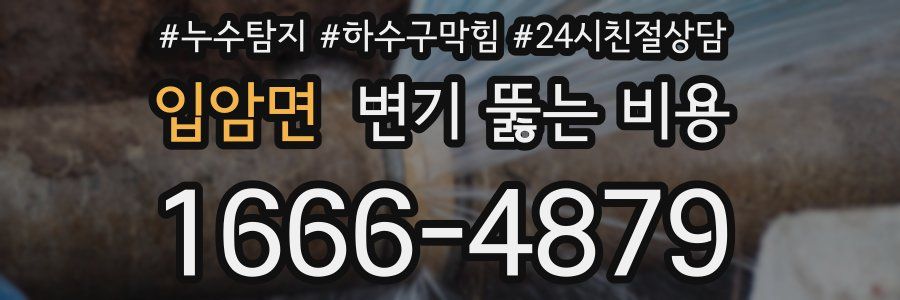 입암면 변기 뚫는 비용