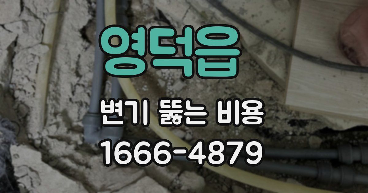 영덕읍 변기 뚫는 비용