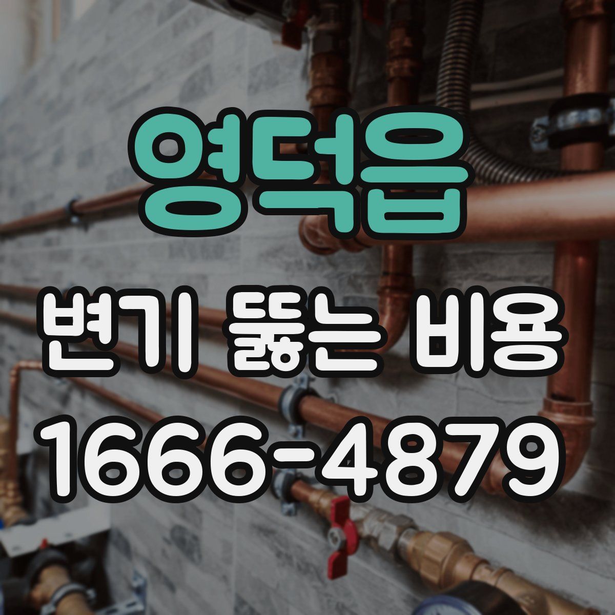 영덕읍 변기 뚫는 비용