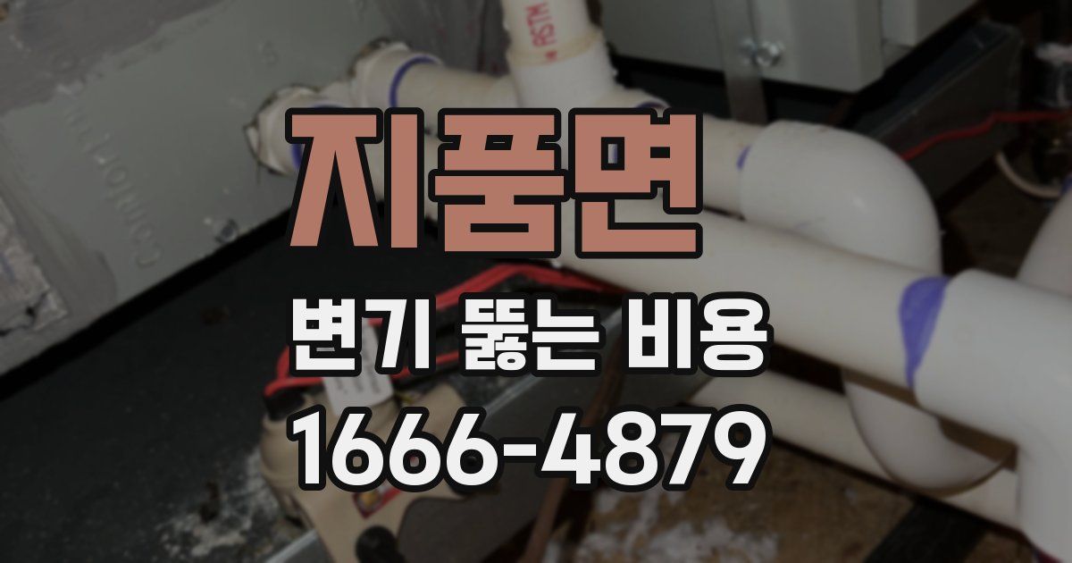 지품면 변기 뚫는 비용