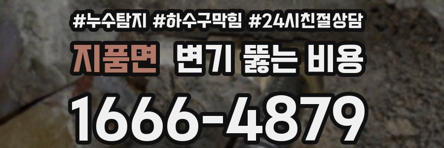 지품면 변기 뚫는 비용