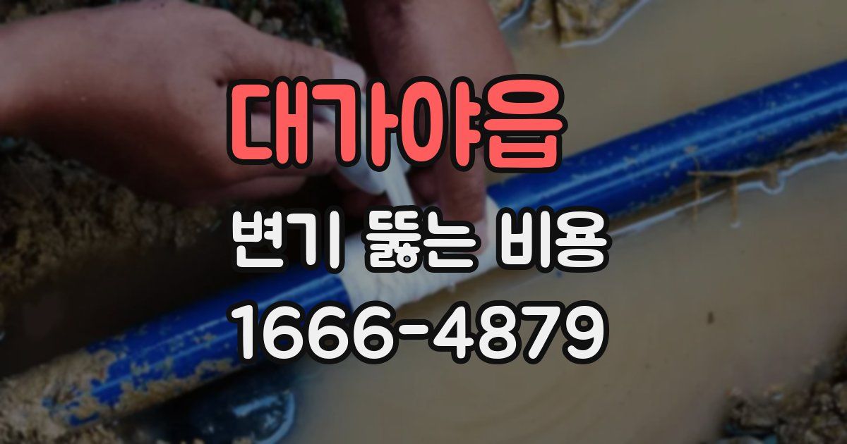 대가야읍 변기 뚫는 비용
