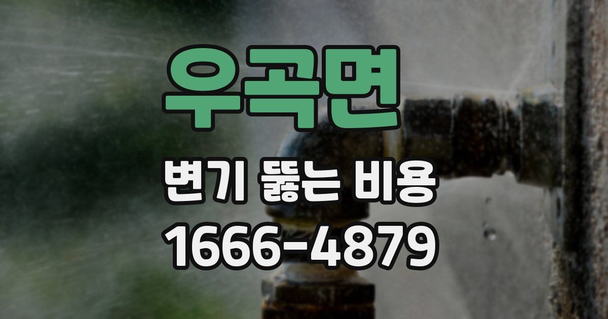 우곡면 변기 뚫는 비용