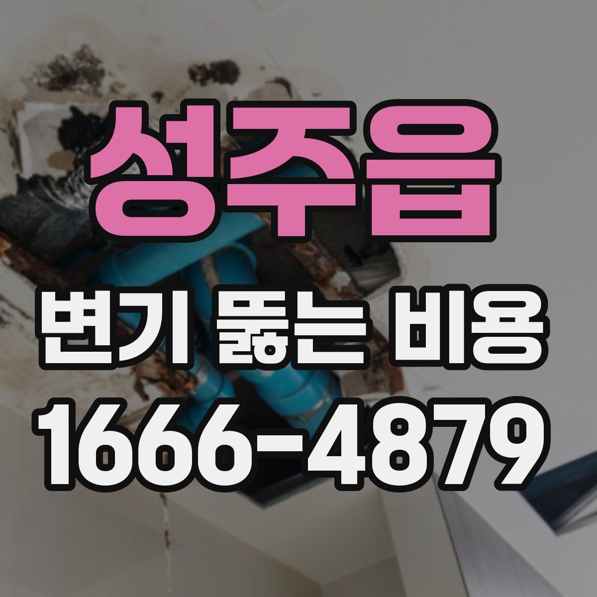 성주읍 변기 뚫는 비용