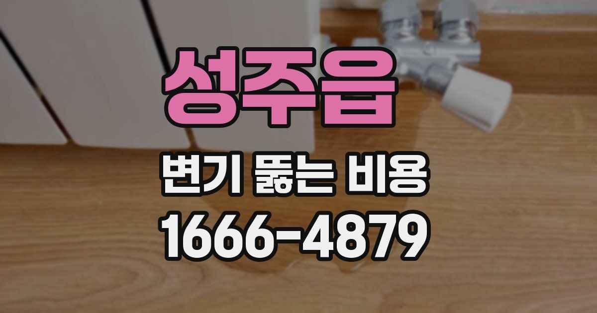 성주읍 변기 뚫는 비용